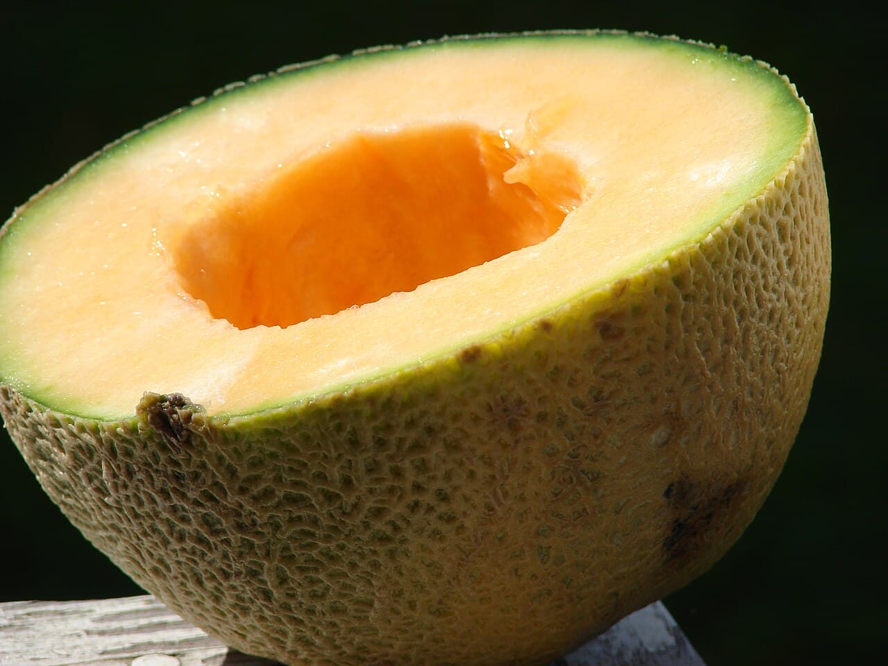 Muskmelon